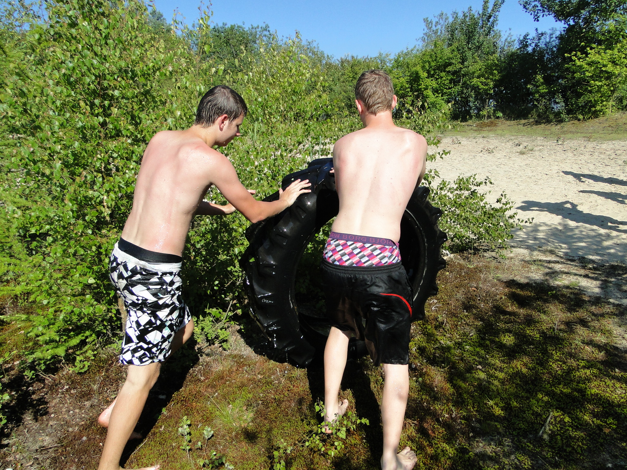 2011HWK 369.jpg